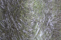 Brattleby fibreglass roof work